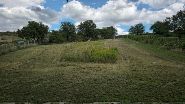 Eladó mezogazdasagi ingatlan, Ravazdon 6.5 M Ft