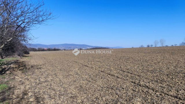 Eladó telek, Pellérden 1.9 M Ft / költözzbe.hu