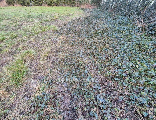 Eladó telek, Szentesen 15 M Ft / költözzbe.hu