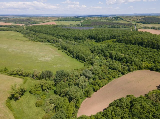 Eladó telek, Nógrádon 30.9 M Ft / költözzbe.hu