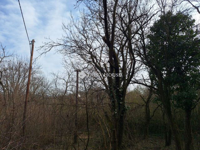 Eladó mezogazdasagi ingatlan, Alcsútdobozon 12.5 M Ft, 1 szobás