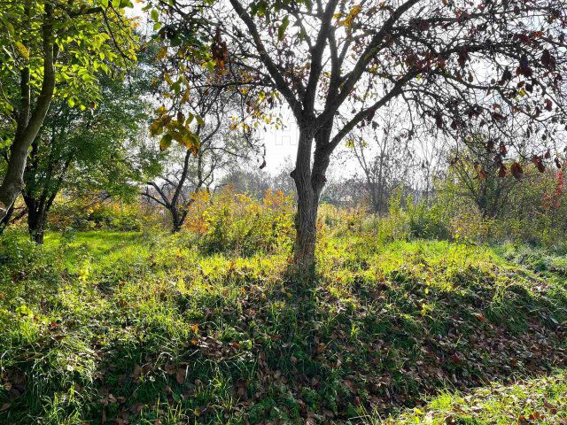 Eladó telek, Siófokon 72.9 M Ft / költözzbe.hu