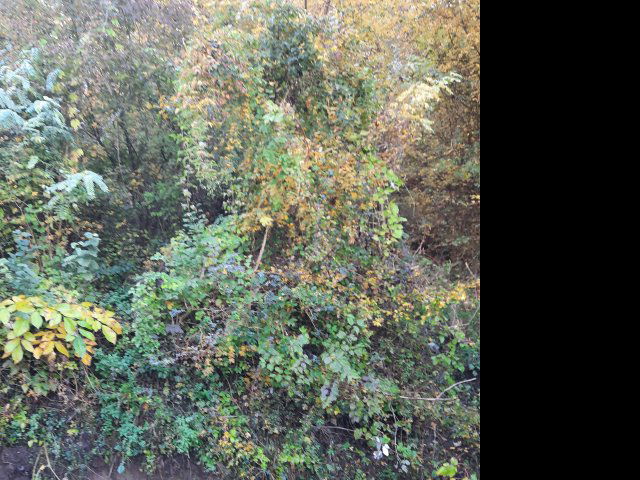 Eladó telek, Visegrádon, Csukavölgy utcában 22 M Ft