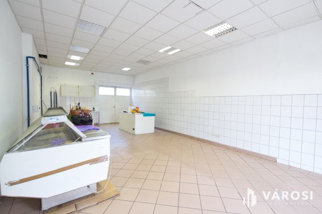 Kiadó üzlethelyiség, Békéscsabán 240 E Ft / hó