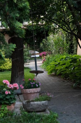 Kiadó családi ház, albérlet, Kecskeméten 800 E Ft / hó