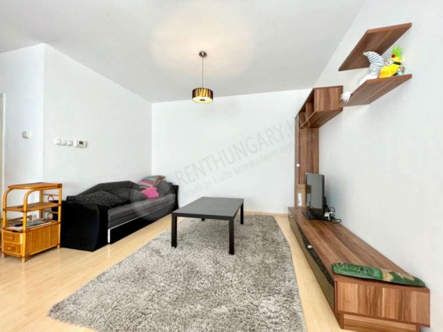 Kiadó téglalakás, albérlet, VI. kerületben, Szív utcában