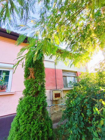 Eladó családi ház, Székesfehérvárott 29 M Ft, 2 szobás