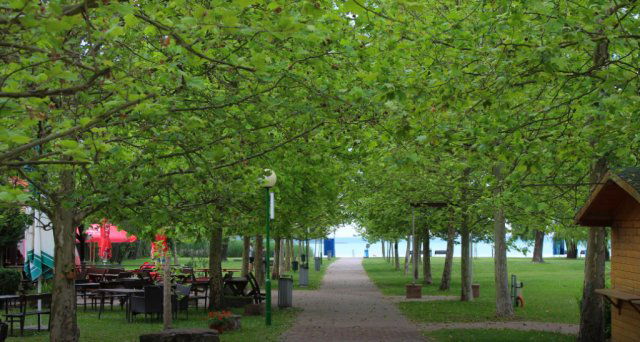 Eladó családi ház, Balatonfűzfőn 57 M Ft, 3 szobás