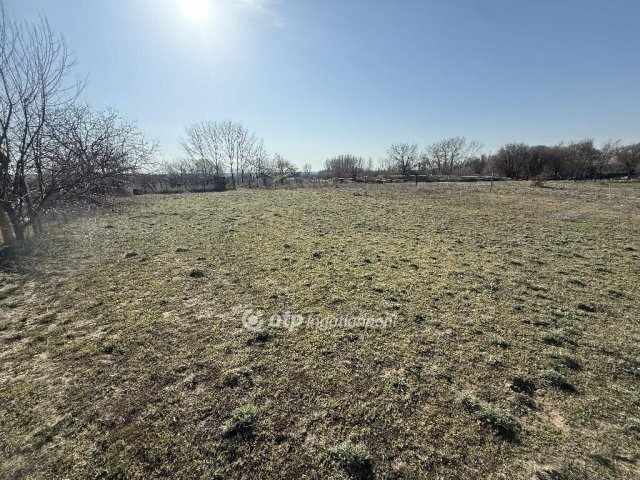 Eladó telek, Tiszakécskén 5.9 M Ft / költözzbe.hu