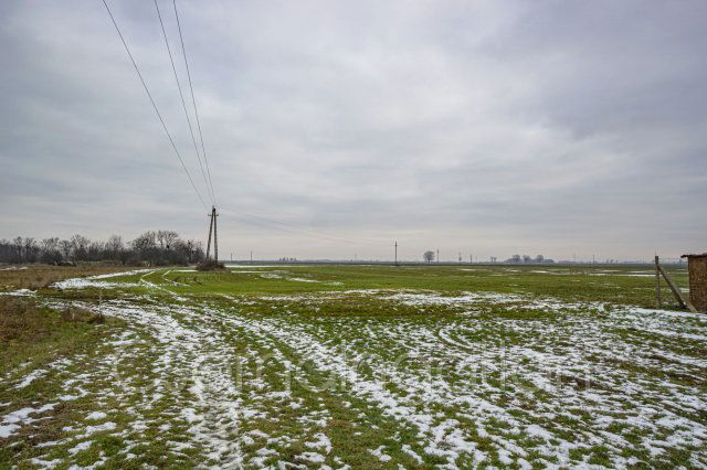 Eladó telek, Mihályin 6.6 M Ft / költözzbe.hu