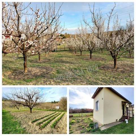 Eladó mezogazdasagi ingatlan, Vácon 29.9 M Ft, 1 szobás