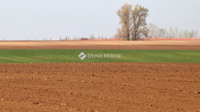 Eladó telek, Kisszálláson 2 M Ft / költözzbe.hu