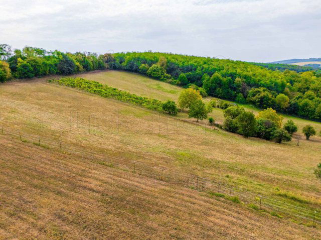 Eladó nyaraló, Almásházán 19.99 M Ft, 1 szobás