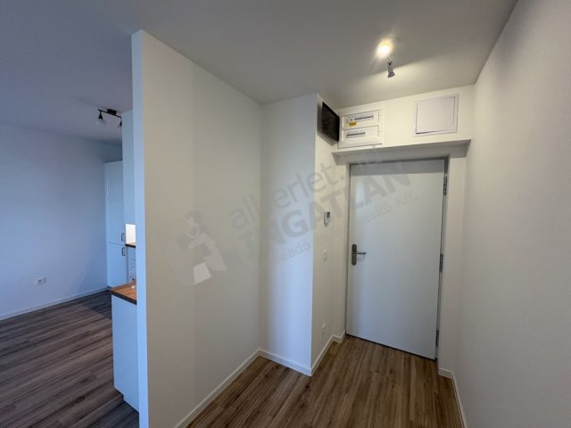 Kiadó téglalakás, albérlet, X. kerületben, Gyógyszergyári utcában