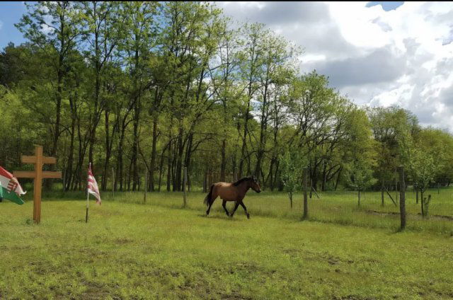 Eladó telek, Fóton 95 M Ft / költözzbe.hu