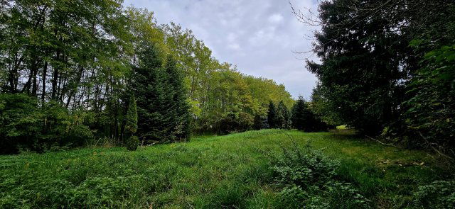 Eladó telek, Felsőmarácon 11.5 M Ft / költözzbe.hu