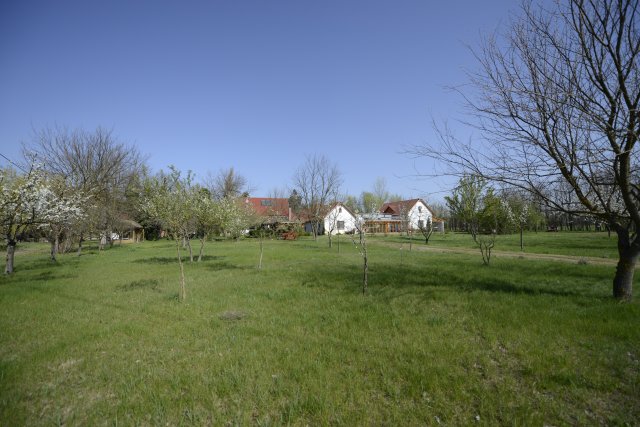 Eladó mezogazdasagi ingatlan, Zákányszéken 220 M Ft
