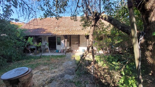Eladó telek, Békéscsabán, Mester utcában 21 M Ft