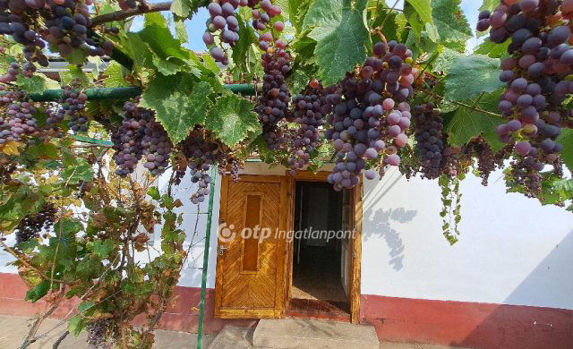 Eladó családi ház, Mezőkovácsházán 12.5 M Ft, 2 szobás
