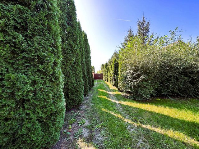 Eladó családi ház, Magyarbánhegyesen 19.9 M Ft, 4 szobás