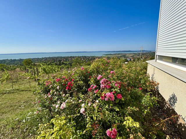 Eladó családi ház, Csopakon 580 M Ft, 4 szobás