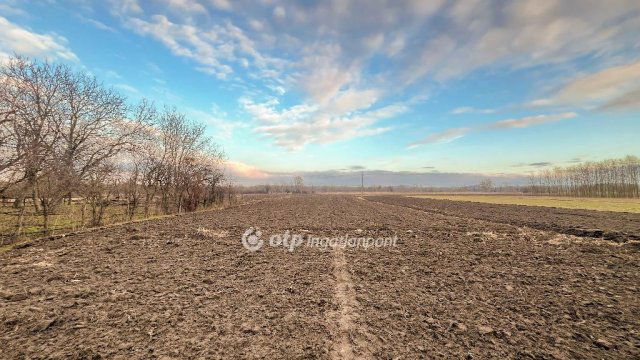 Eladó családi ház, Bakonybánkon 24.9 M Ft, 4 szobás