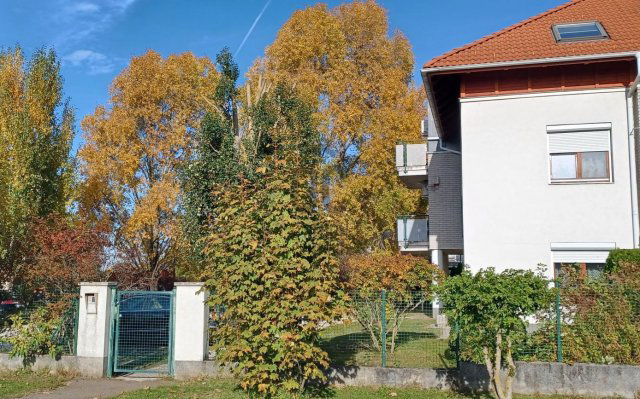 Kiadó téglalakás, albérlet, Budapesten, XVII. kerületben