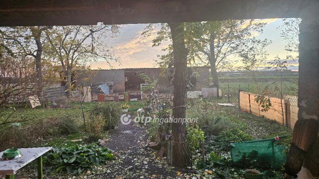 Eladó mezogazdasagi ingatlan, Jászjákóhalmán 13.8 M Ft