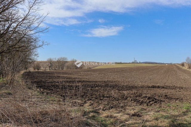 Eladó telek, Csabdiban 109 M Ft / költözzbe.hu