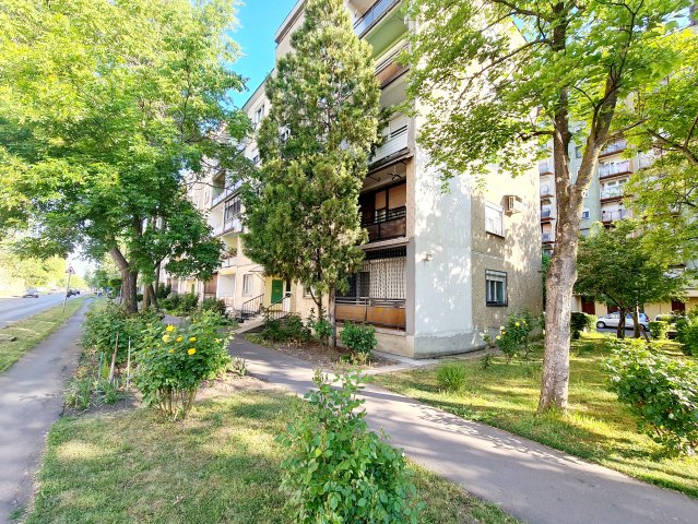 Eladó panellakás, Békéscsabán, Tulipán utcában 39.99 M Ft