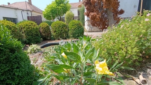 Eladó családi ház, Bólyban 51.9 M Ft, 6 szobás