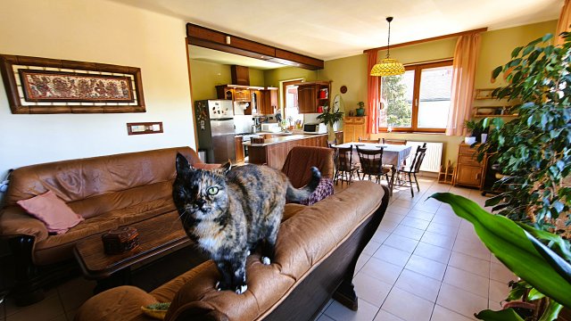 Eladó családi ház, Veresegyházon 159 M Ft, 6 szobás