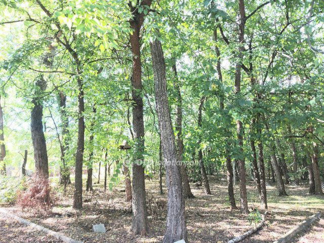 Eladó családi ház, Kecskeméten 124.9 M Ft, 1+4 szobás