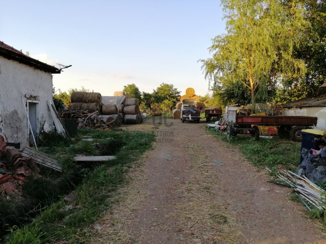 Eladó családi ház, Tiszatenyőn 4.5 M Ft, 1 szobás