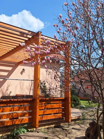 Eladó családi ház, Nyúlon 146 M Ft, 4 szobás