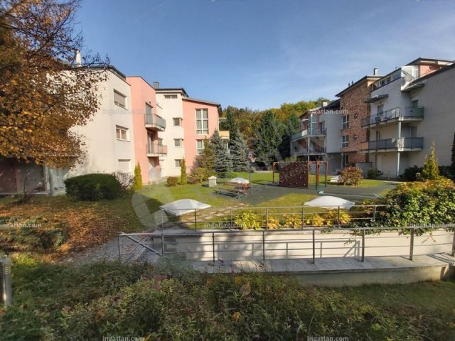 Kiadó téglalakás, albérlet, II. kerületben, Hárshegyi úton