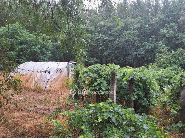 Eladó nyaraló, Csemőn 41.6 M Ft, 3 szobás / költözzbe.hu