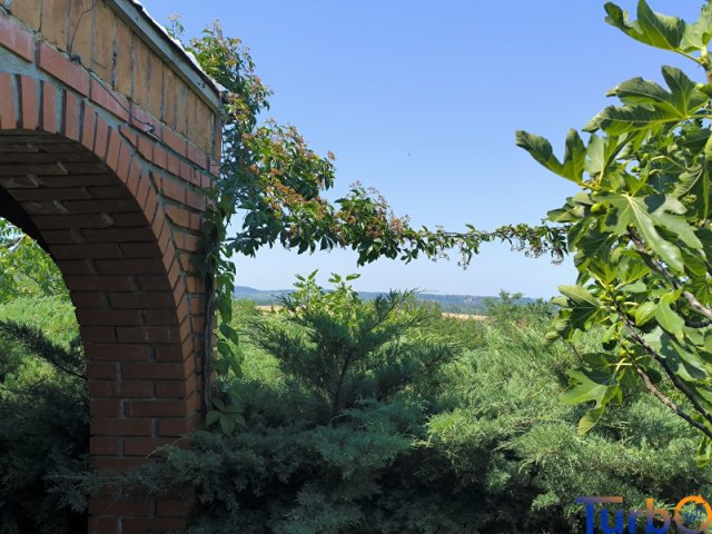 Eladó nyaraló, Zamárdiban 50 M Ft, 1 szobás