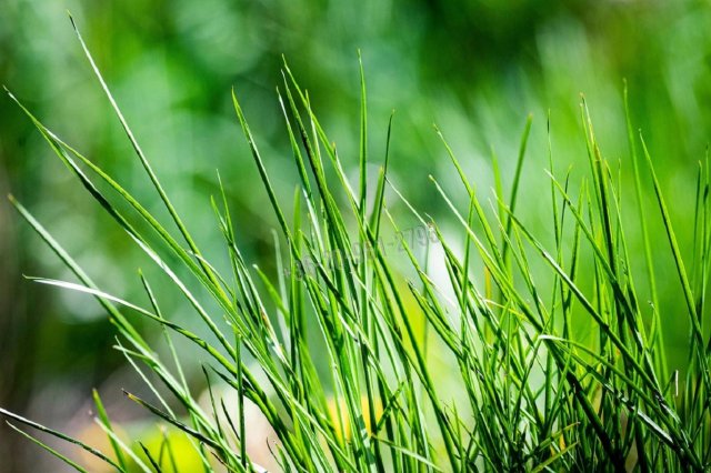 Eladó családi ház, Abonyban, Attila utcában 500 M Ft, 3 szobás