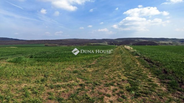 Eladó telek, Csabdiban 36.9 M Ft / költözzbe.hu