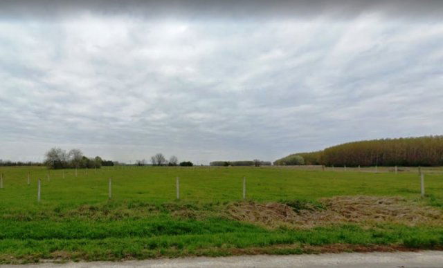 Eladó mezogazdasagi ingatlan, Dabason 26 M Ft