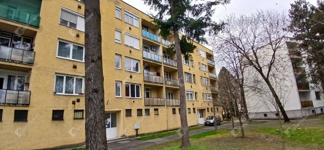 Eladó téglalakás, Zalaegerszegen 31.5 M Ft, 2 szobás