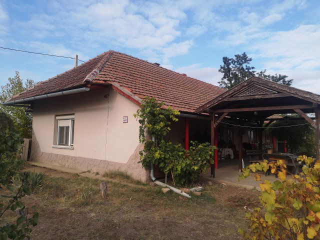 Eladó mezogazdasagi ingatlan, Békéscsabán 14.9 M Ft