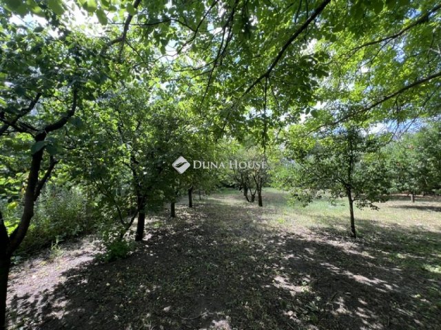 Eladó telek, Nyíregyházán 5.5 M Ft / költözzbe.hu