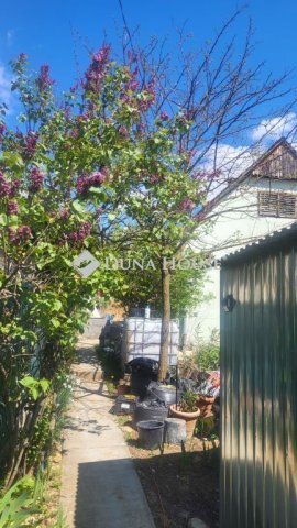 Eladó családi ház, Bogádon 16.9 M Ft, 1 szobás