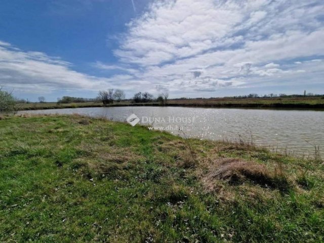 Eladó családi ház, Cegléden 135 M Ft, 1 szobás