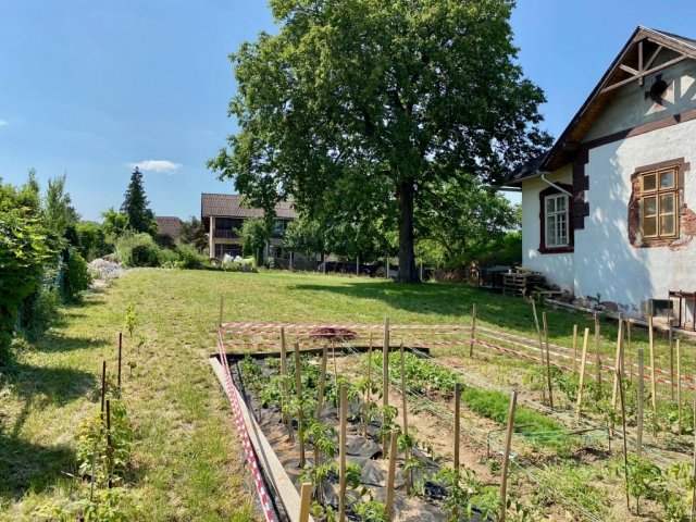 Eladó családi ház, Balatonalmádiban 99 M Ft, 2 szobás