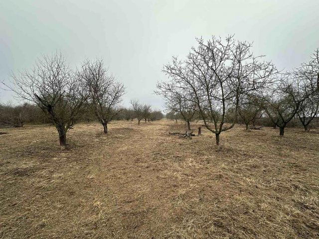 Eladó telek, Vácon 32 M Ft / költözzbe.hu