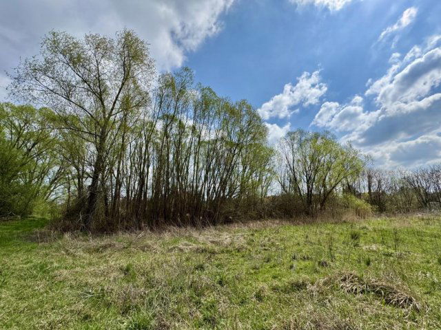 Eladó telek, Nagykanizsán 6.99 M Ft / költözzbe.hu