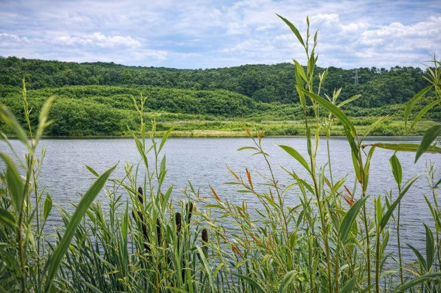 Eladó mezogazdasagi ingatlan, Pécsett, Rücker-akna 200 M Ft